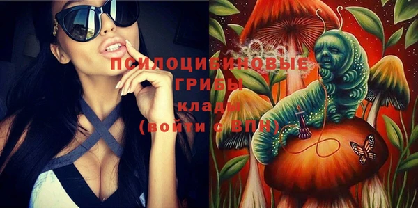 PSILOCYBIN Богородск