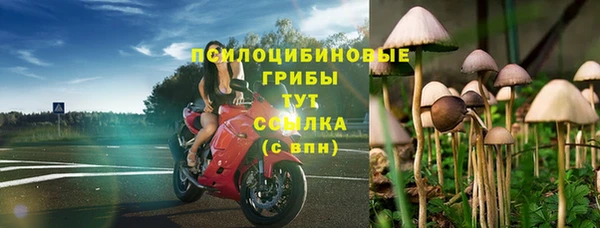 метамфетамин Богданович