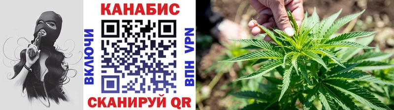 Марихуана сатива Киселёвск